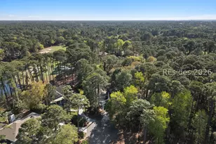 10 Sagebush Ln, Hilton Head Island, SC 29926 - Photo 60