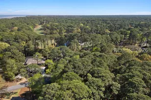 10 Sagebush Ln, Hilton Head Island, SC 29926 - Photo 62
