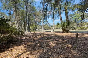 4 Quincy Ln, Hilton Head Island, SC 29928 - Photo 52