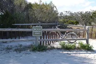 32 Corrine Ln, Hilton Head Island, SC 29928 - Photo 62