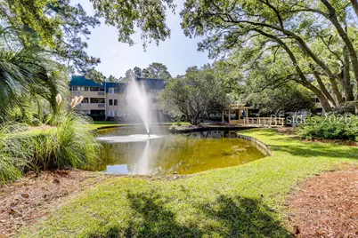239 Beach City Road #1317, Hilton Head Island, SC 29926 - Photo 20