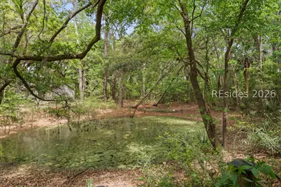 56 Brindlewood Drive, Beaufort, SC 29907 - Photo 34