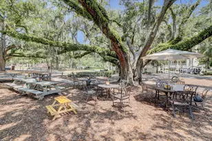 46 Hearthwood Dr, Hilton Head Island, SC 29928 - Photo 74