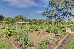 46 Hearthwood Dr, Hilton Head Island, SC 29928 - Photo 60