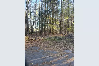 Lot 12 Freeman Street, Brunson, SC 29911 - Photo 6