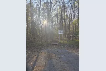 Lot 12 Freeman Street, Brunson, SC 29911 - Photo 8