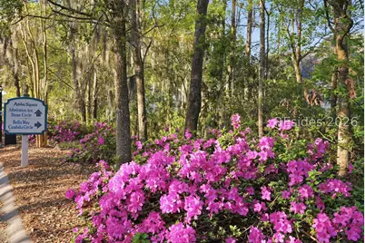 546 Candida Drive, Beaufort, SC 29906 - Photo 2