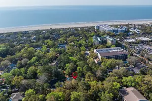 1 Bittern St, Hilton Head Island, SC 29928 - Photo 26