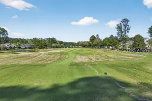 314 Farnsleigh Ave, Bluffton, SC 29910 - Photo 64