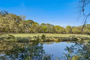 13 McIntosh Rd, Hilton Head Island, SC 29926 - Photo 74