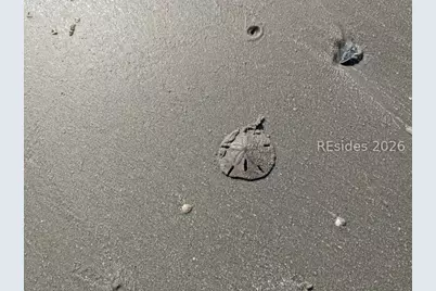 30 Captain Monroe Lane, Daufuskie Island, SC 29915 - Photo 72