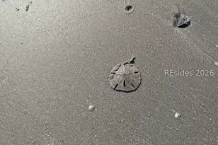 30 Captain Monroe Ln, Daufuskie Island, SC 29915 - Photo 72