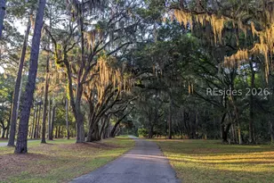30 Captain Monroe Ln, Daufuskie Island, SC 29915 - Photo 62