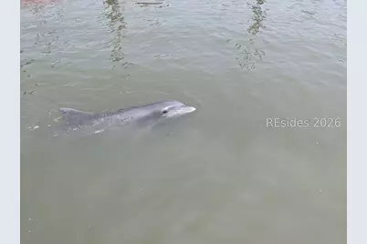 30 Captain Monroe Lane, Daufuskie Island, SC 29915 - Photo 70