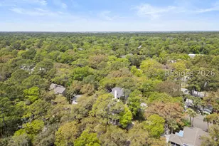 1 Sea Oak Ln, Hilton Head Island, SC 29928 - Photo 76