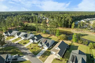 168 Crepe Myrtle Ln, Hardeeville, SC 29927 - Photo 2