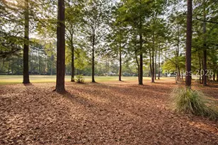 50 Pipers Pond Rd, Bluffton, SC 29910 - Photo 38