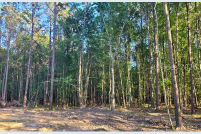 Tbd Speedway Boulevard, Hardeeville, SC 29927 - Photo 2