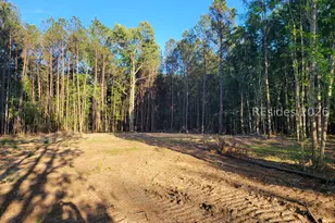 Tbd Soeedway Blvd, Hardeeville, SC 29927 - Photo 1