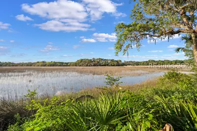 25 Seagrass Landing Court, Hilton Head Island, SC 29926 - Photo 46