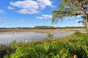 25 Seagrass Landing Ct, Hilton Head Island, SC 29926 - Photo 46