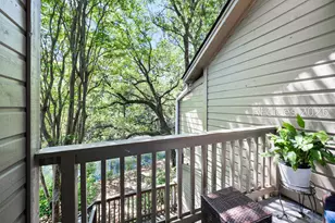 50 Yacht Cv Dr, Hilton Head Island, SC 29928 - Photo 28