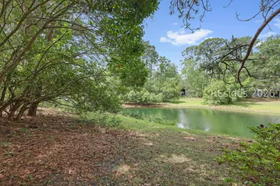 19 Rookery Way, Hilton Head Island, SC 29926 - Photo 64