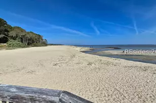 239 Beach City Rd, Hilton Head Island, SC 29926 - Photo 52