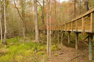 30 Heartwood Ct, Bluffton, SC 29910 - Photo 58