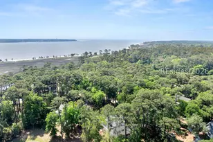 11 Port Passage, Daufuskie Island, SC 29915 - Photo 94