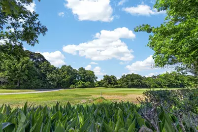 15 Mangrove Street, Hilton Head Island, SC 29926 - Photo 44