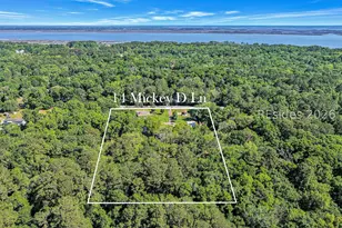 14 Mickey D Ln, Beaufort, SC 29907 - Photo 76