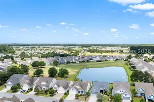 231 Bluff Point Ln, Hardeeville, SC 29909 - Photo 56