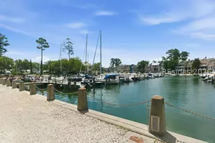 16 Spindle Ln, Hilton Head Island, SC 29926 - Photo 52