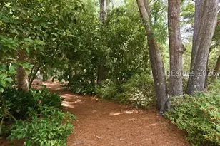 16 Spindle Ln, Hilton Head Island, SC 29926 - Photo 34