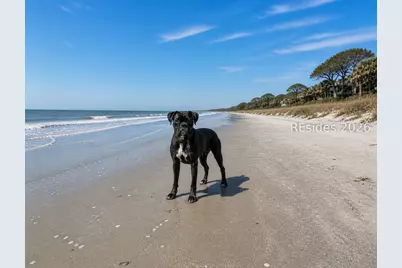 25 Deallyon Avenue #132, Hilton Head Island, SC 29928 - Photo 34