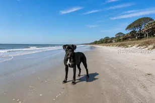 25 Deallyon Ave, Hilton Head Island, SC 29928 - Photo 34
