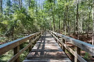 45 Wild Strawberry Ln, Bluffton, SC 29909 - Photo 18