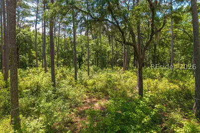 77 Lupine Road, Bluffton, SC 29910 - Photo 16