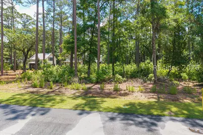 77 Lupine Road, Bluffton, SC 29910 - Photo 14