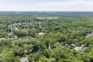 19 Laughing Gull Dr, Beaufort, SC 29907 - Photo 58