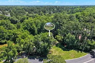 164 Summerton Dr, Bluffton, SC 29910 - Photo 70