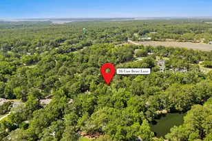 26 Cat Brier Ln, Hilton Head Island, SC 29926 - Photo 4