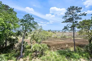 18 Port Passage, Daufuskie Island, SC 29915 - Photo 86