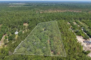 457 Ridgecut Rd, Early Branch, SC 29916 - Photo 54