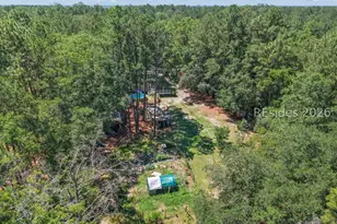 457 Ridgecut Rd, Early Branch, SC 29916 - Photo 52