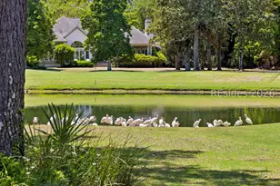 16 Whitehall Dr, Bluffton, SC 29910 - Photo 86