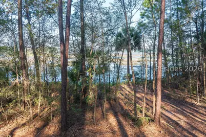 509 Pinckney Colony Road, Bluffton, SC 29909 - Photo 18