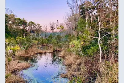 59 Hinson White Drive, Daufuskie Island, SC 29915 - Photo 26