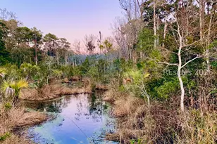 59 Hinson White Dr, Daufuskie Island, SC 29915 - Photo 26